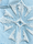 Relic Jorts Blue