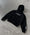 Phantom Hoodie